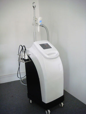 Vertical Cryolipolysis Machine Frozen Fat Dissolving Instrument