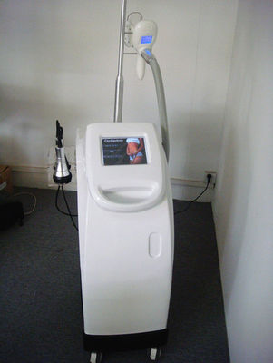 Vertical Cryolipolysis Machine Frozen Fat Dissolving Instrument
