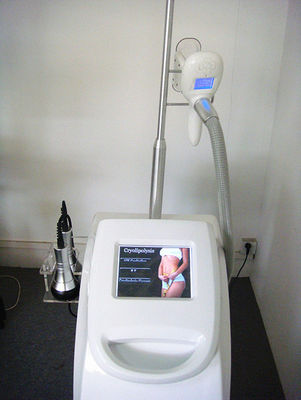 Vertical Cryolipolysis Machine Frozen Fat Dissolving Instrument