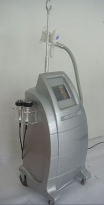 Vertical Cryolipolysis Machine Frozen Fat Dissolving Instrument