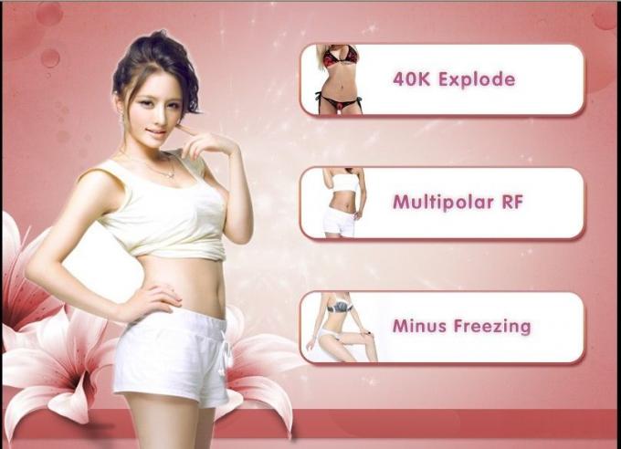 China 3 in 1 Schönheits-Maschinenlieferanten Gewichts Cryolipolysis fettem einfrierendem verlorenem